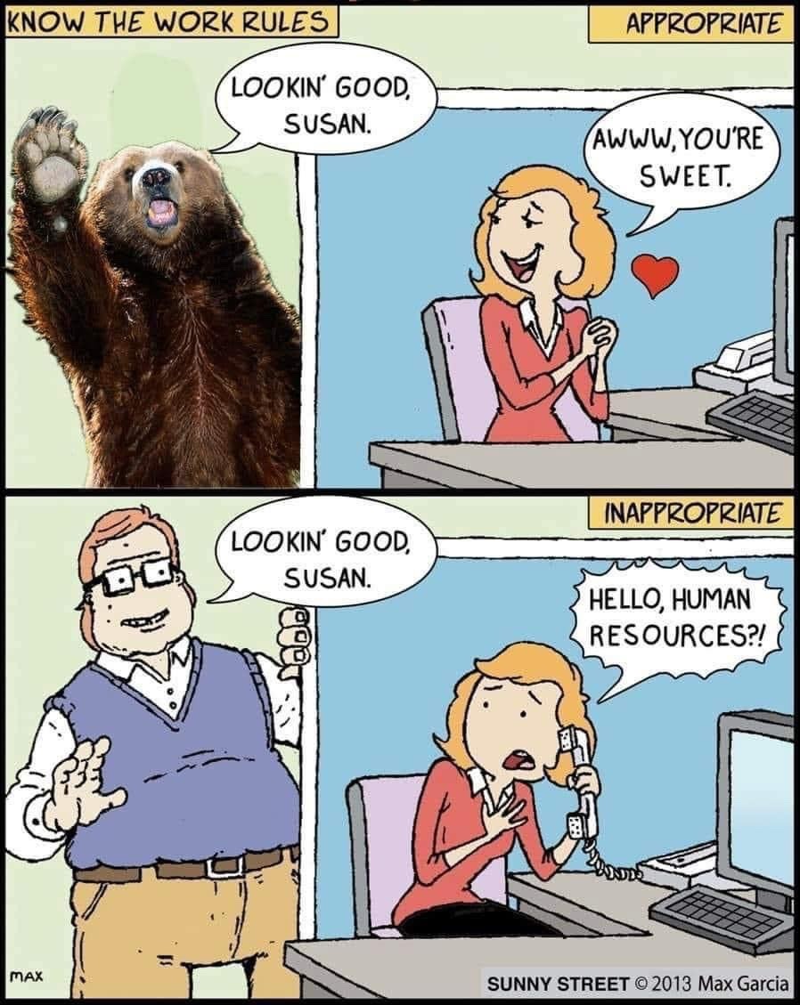There’s that bear again - meme