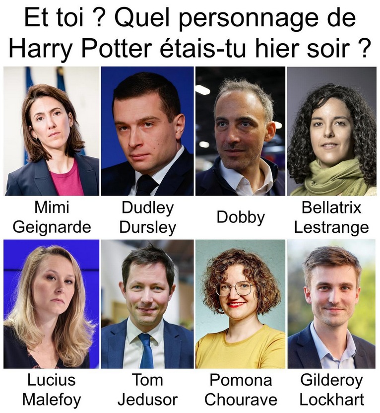 Je dirais Dudley Dursley - meme
