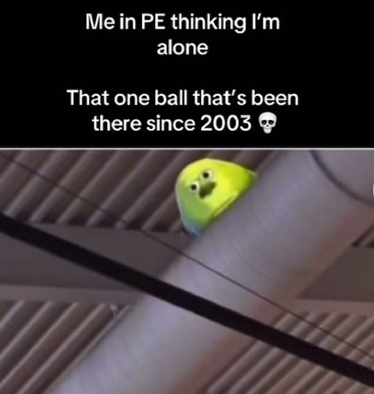 True asf - meme