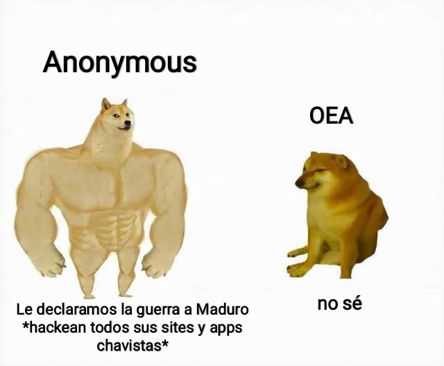 Anonymous y Elonk musk haciendo mas cosas que la OEA y la ONU - meme