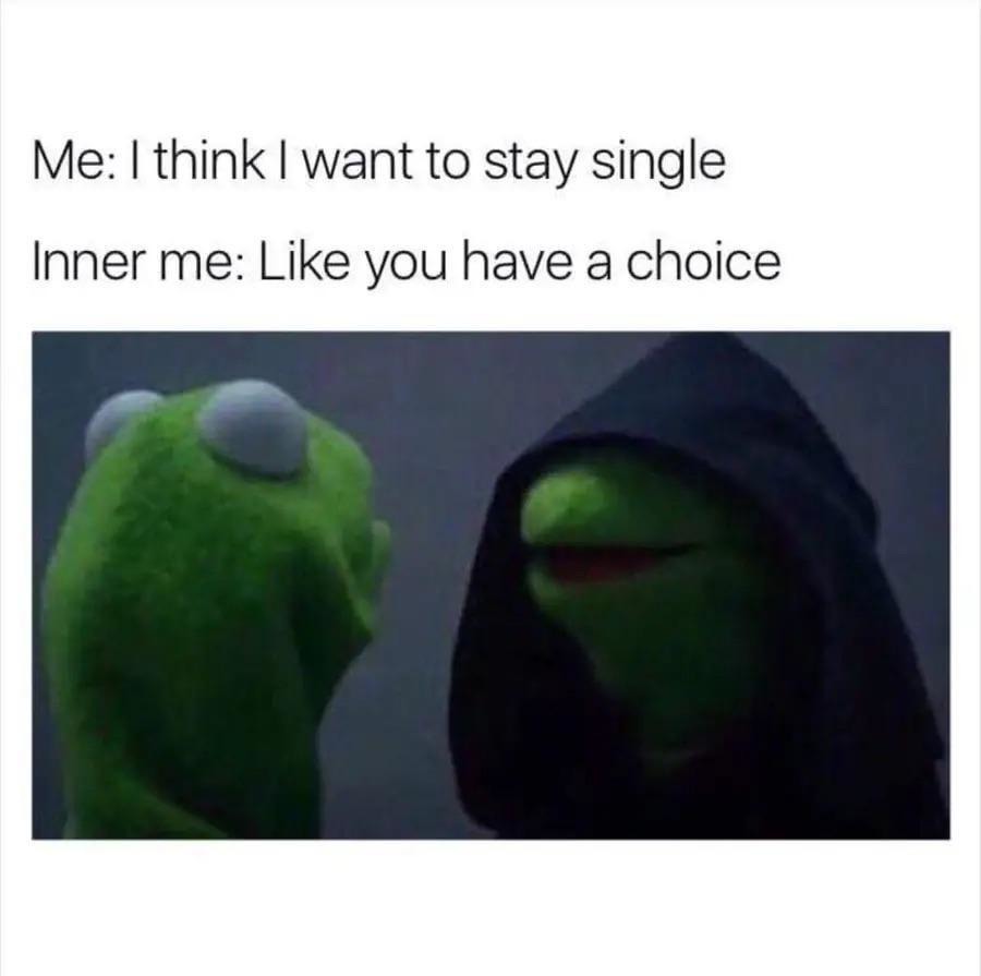 Staying single? Like you had a say - meme