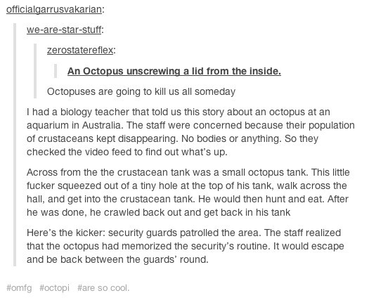 Octopuses are apparently scary intelligent - meme