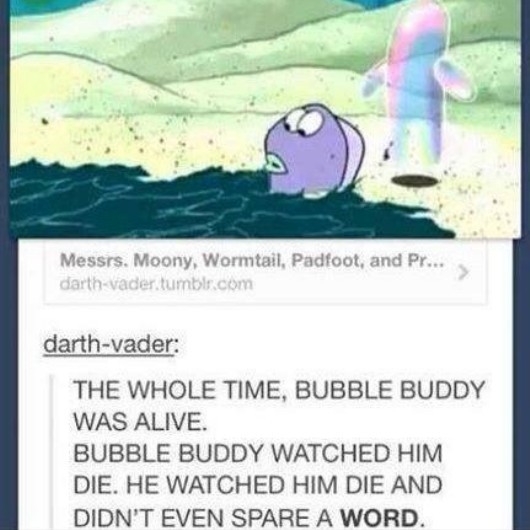 bubble buddy - meme