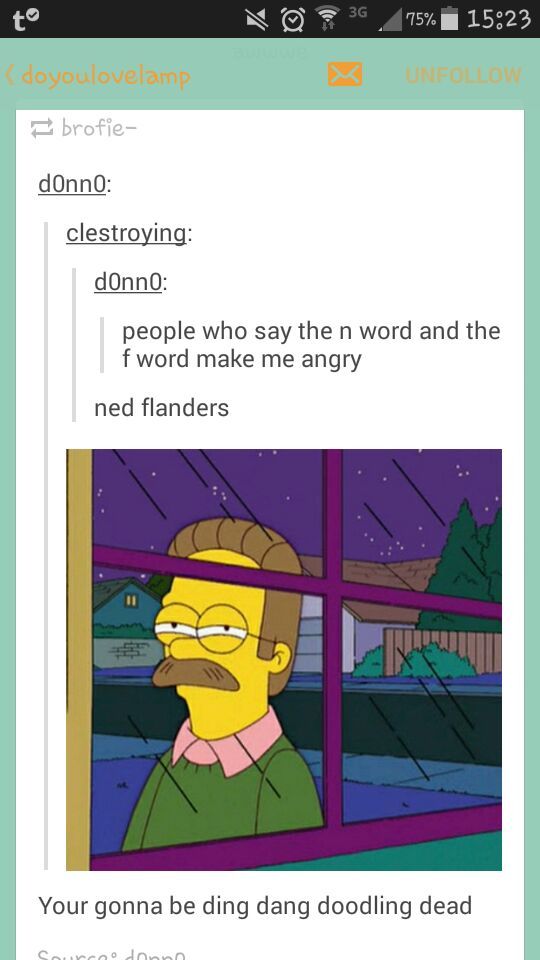 stupid sexy Flanders - meme