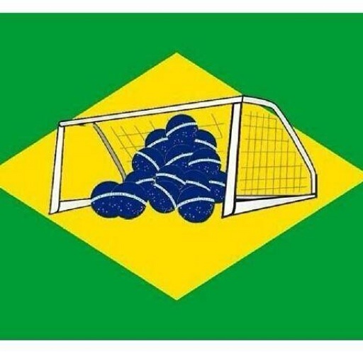 Nueva bandera de Brasil jajaja - meme