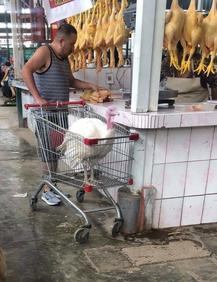 Aqui ps comprando el pavo - meme