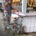 Aqui ps comprando el pavo