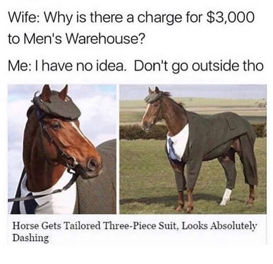 Horse - meme