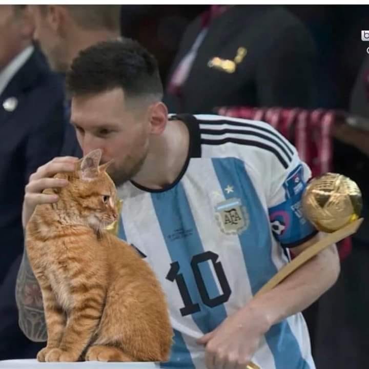 Messi Gato - meme
