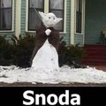 Funny SNODA winter meme