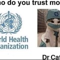 Dr. Cat