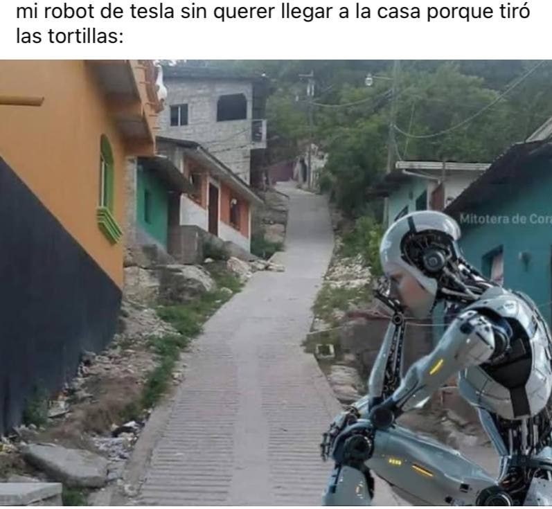 La madre le va a meter una verguiza al Robot tesla - meme