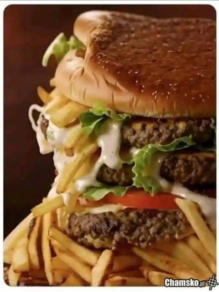 Fui na hamburgueria do meu amigo sulista - meme