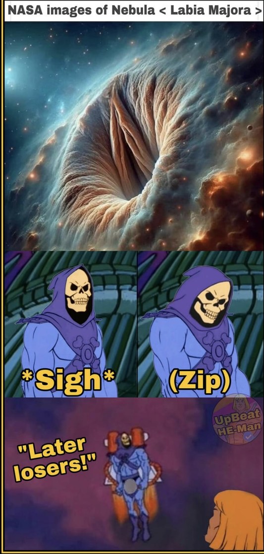Skeletor 1 - meme