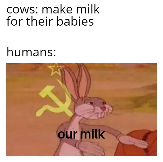 Our milk - meme
