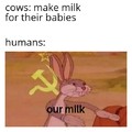 Our milk
