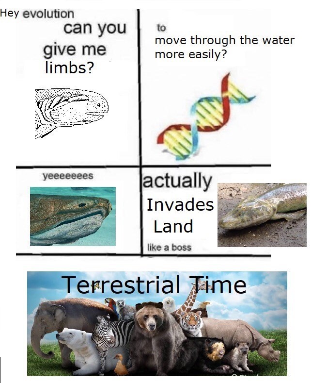 el puto tiiktalik inadio la tierra este es el ultimo meme de la evolucion okay?