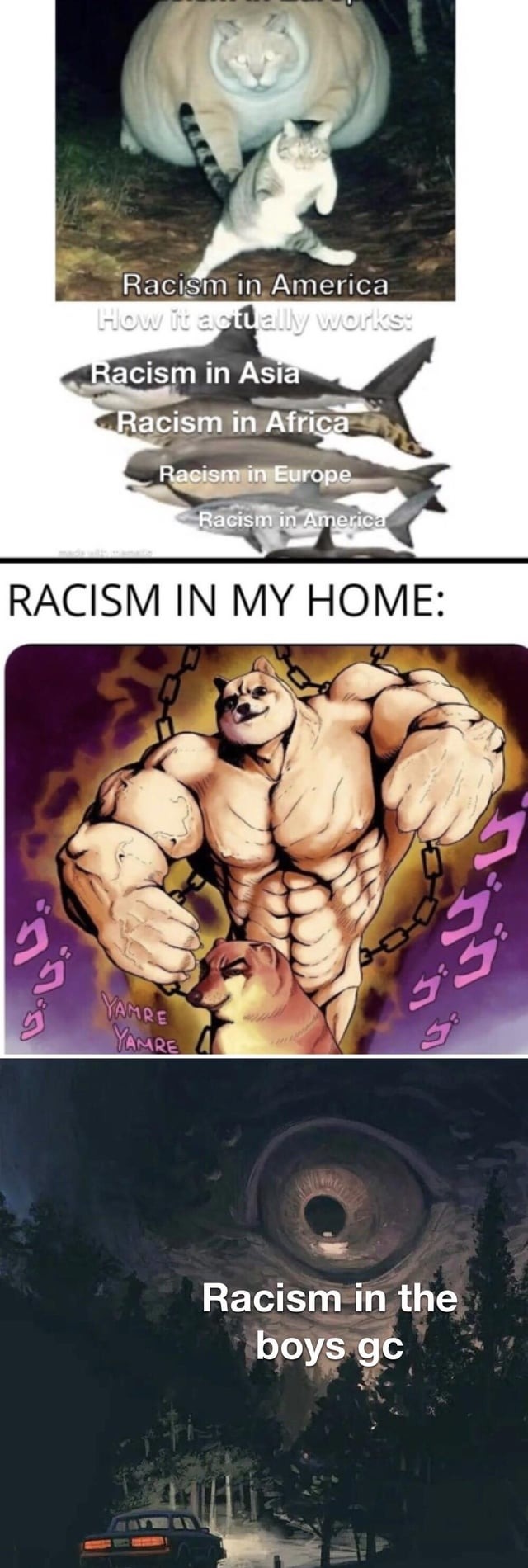 Racism meme
