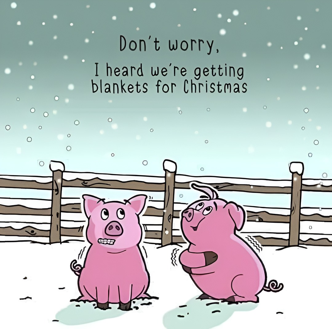 Pigs In A Blanket - meme