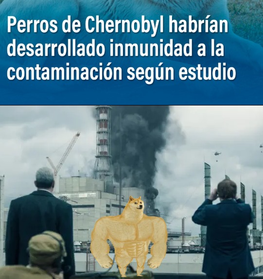 Perros radioactivos de Chernobyl - meme