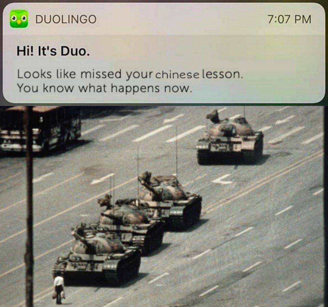 Duolingo bird makes me haha - meme