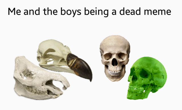 Me and the boys being a dead meme