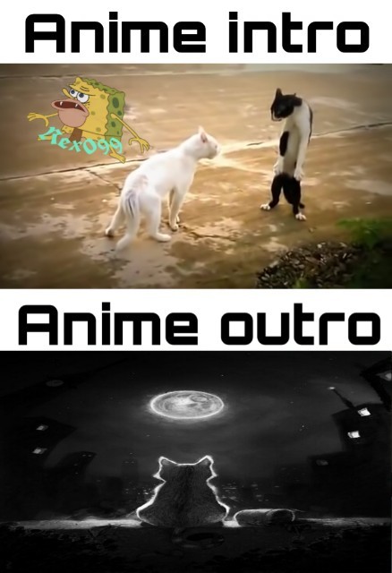 Anime cat - meme