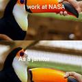 I work at NASA