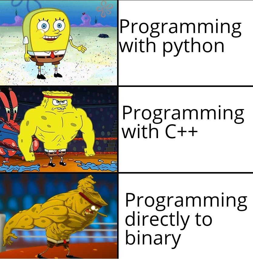 Only way to program - meme