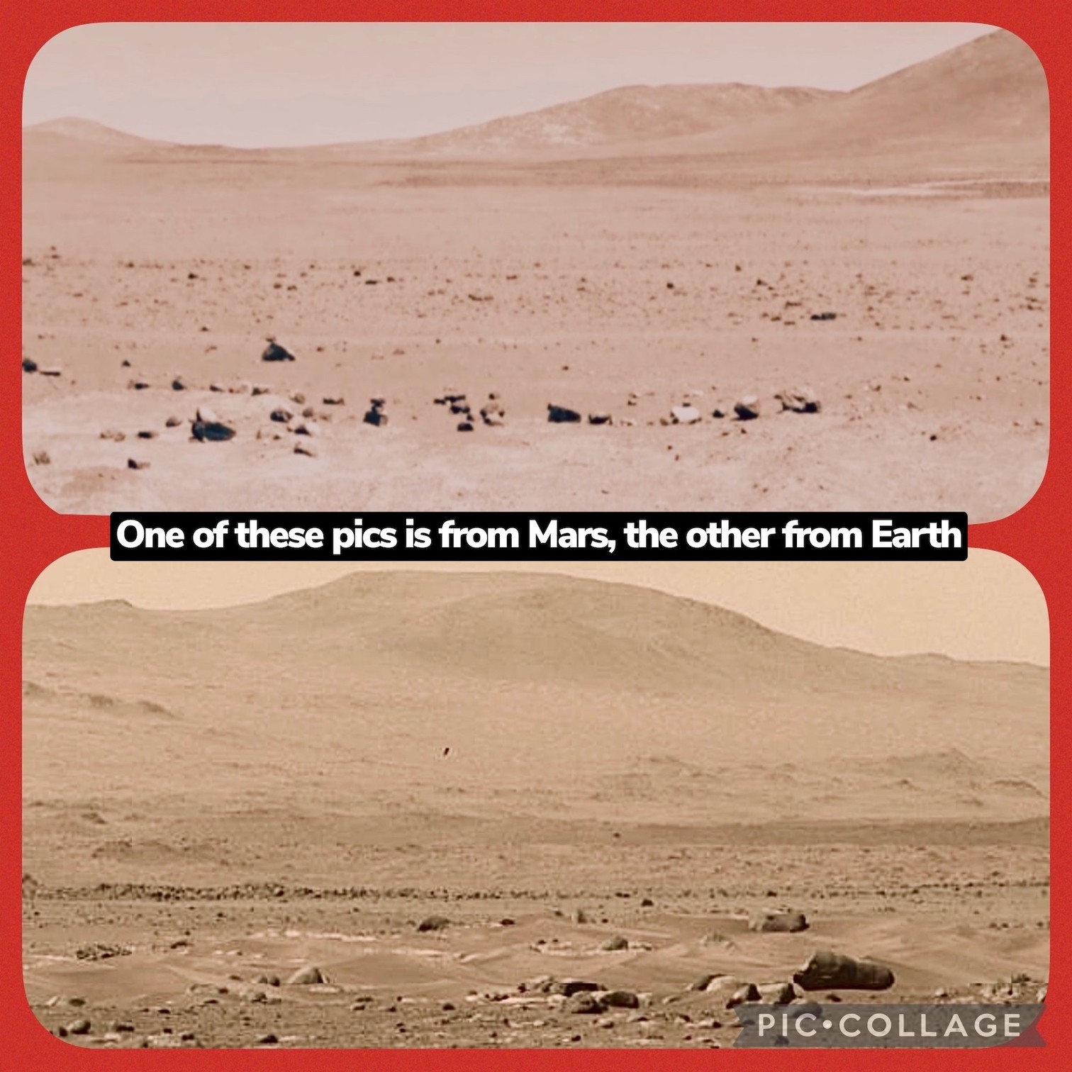 we live on Mars already - meme