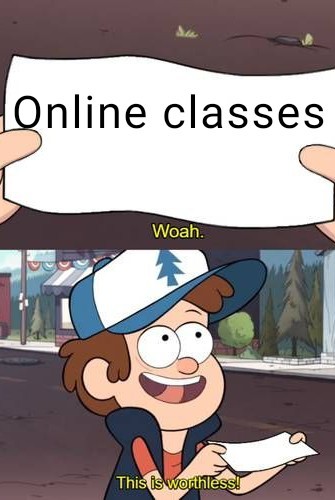 The online classes - meme