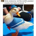the real Donald Duck