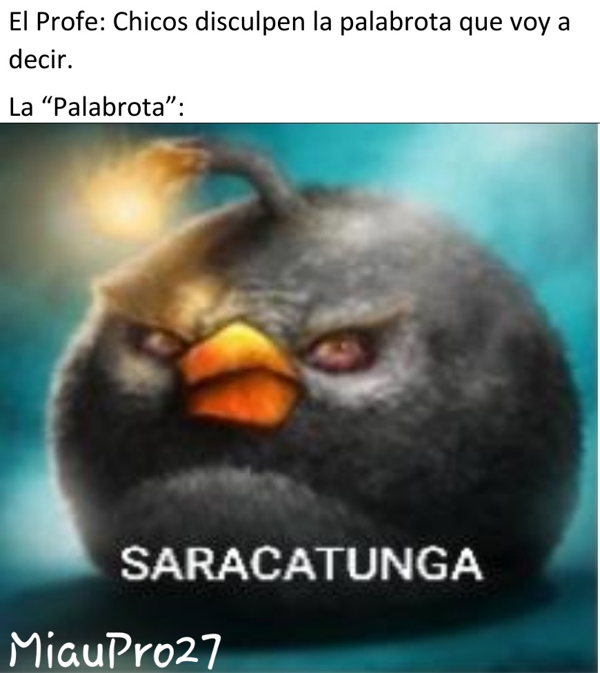 Saracatunga - meme