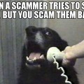 Say no to scam