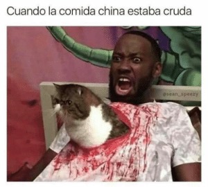 Meme del gato del chino