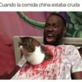 Meme del gato del chino