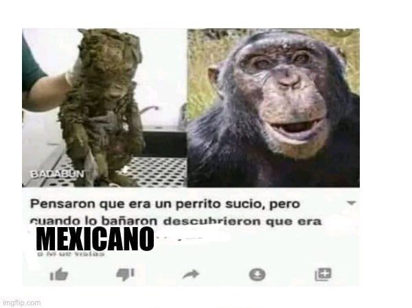 Claudio Narea está muerto - meme