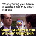 comment a user and see if they reply. should memedroid let you tag someone or dm them?