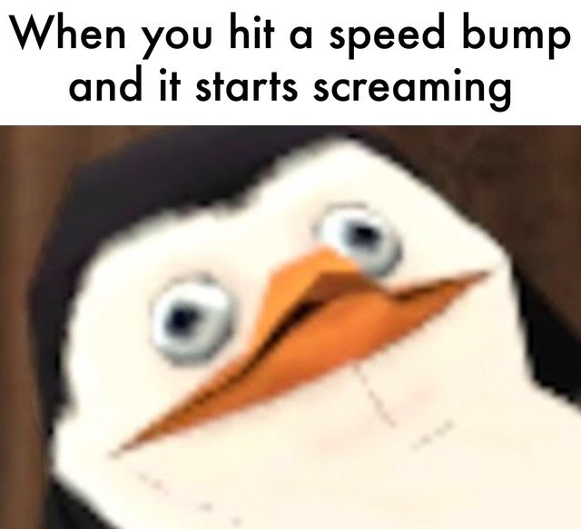 When you hit a speed bump and it starts screaming - meme