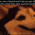 some squirrels are nice