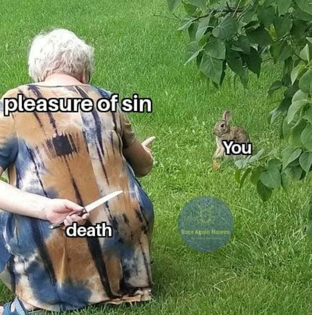 The wages of sin is death - meme