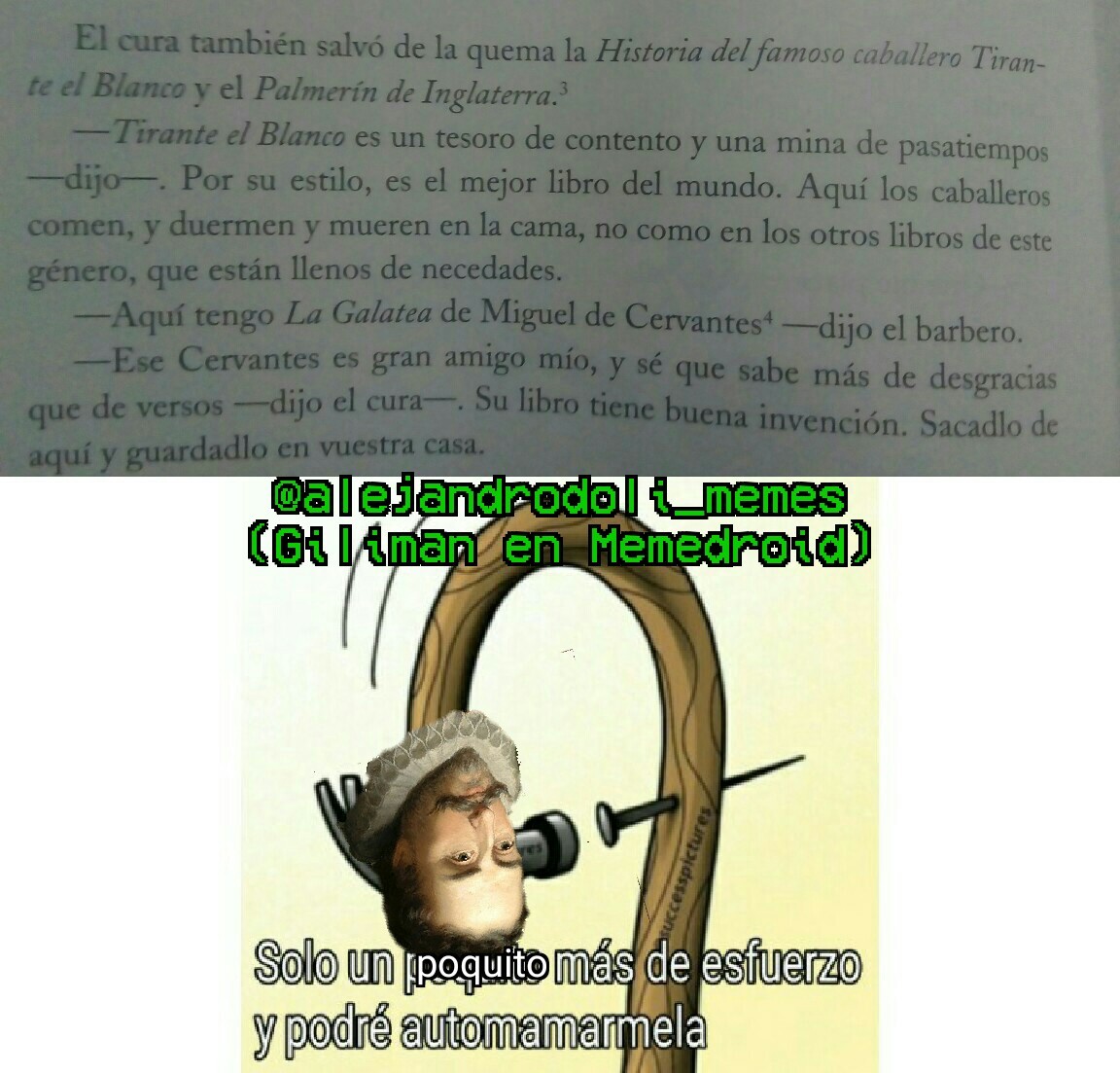 Fragmento del Quijote (Miguel de Cervantes) - meme