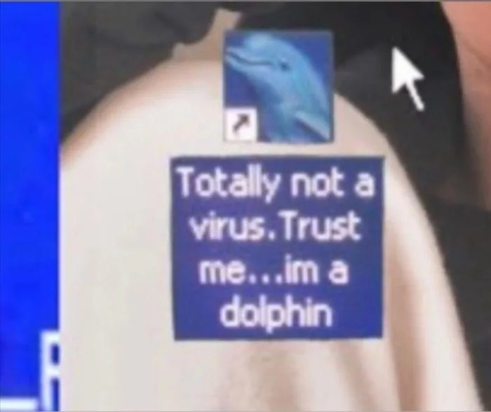 Dolphin - meme