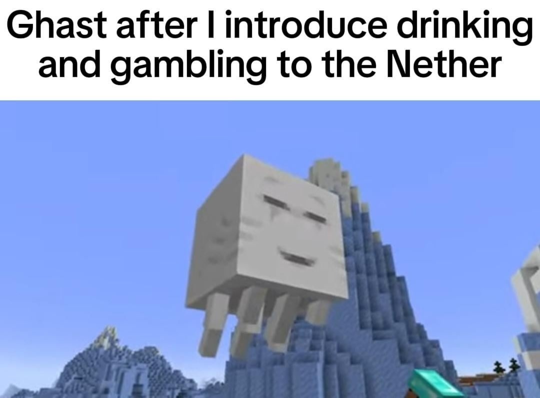 Introduced gambling and drinking to the Nether. My bad - meme