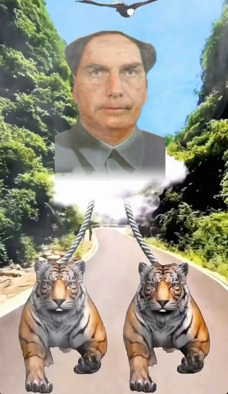 Trabalho si quiser - meme