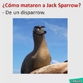 sparrow :v