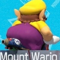 Wario is the thickest Nintendo character