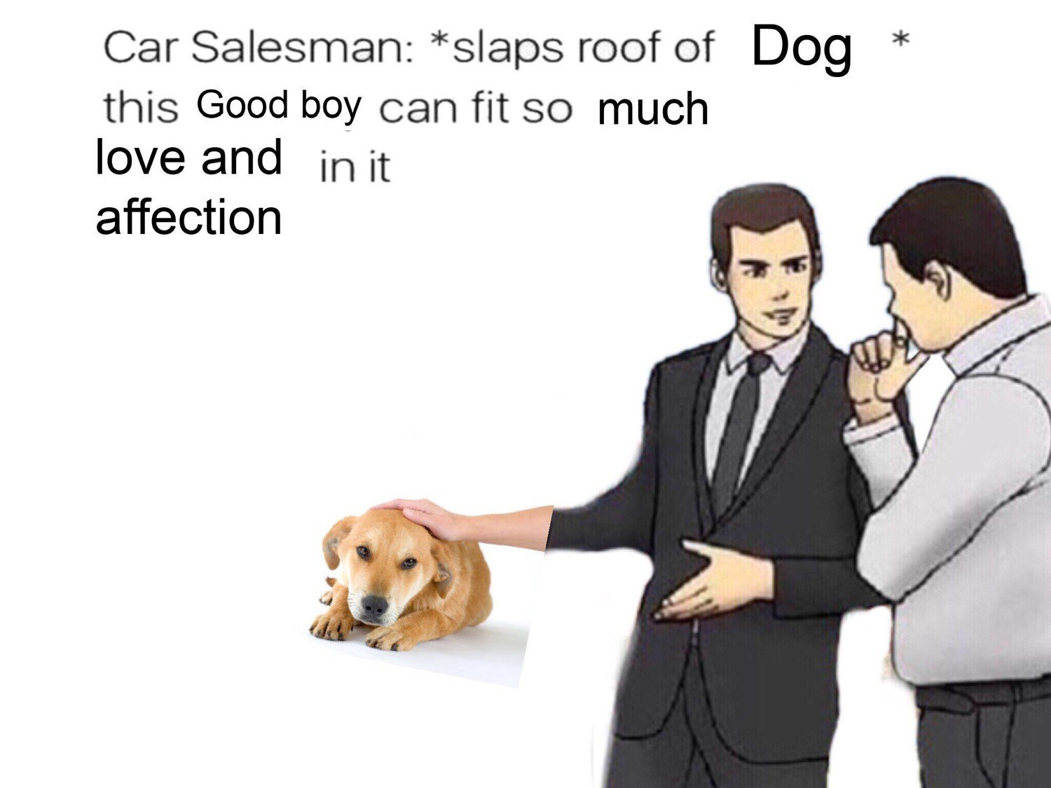 Much dog - meme