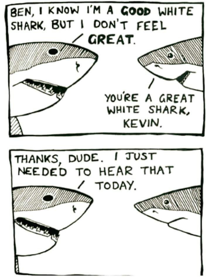 Shark confidence - meme
