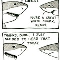 Shark confidence